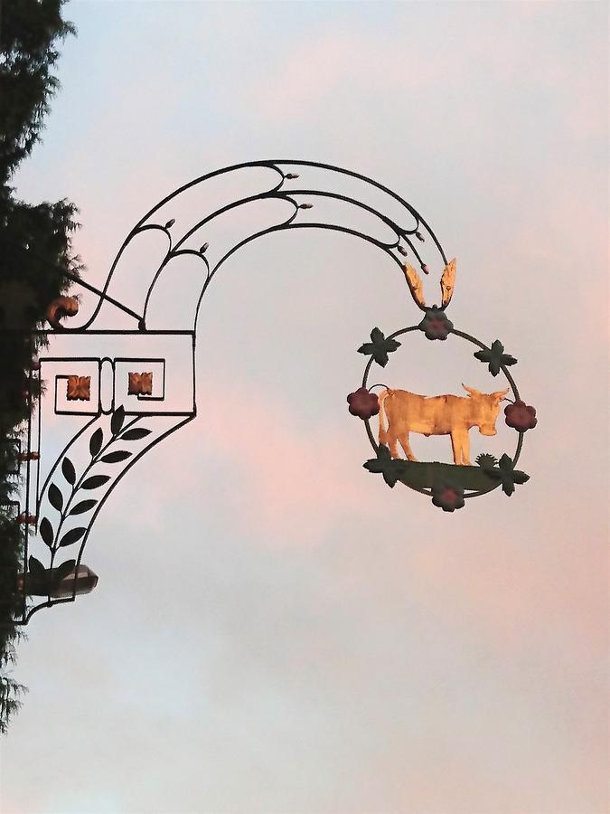 Gasthaus Zum Ochsen Neuhaus Εξωτερικό φωτογραφία